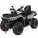 Квадроцикл SWM Trailhunter Touring 580 Pro Nano Grey, серый