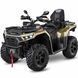 Квадроцикл SWM Trailhunter Touring 580 Pro Army Green, Зелёный