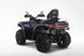 Квадроцикл SWM Trailhunter Touring 720 Pro Dust Purple DK, Сиреневый